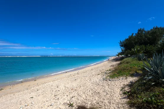 navette avec chauffeur prive vers plage de la saline a la reunion